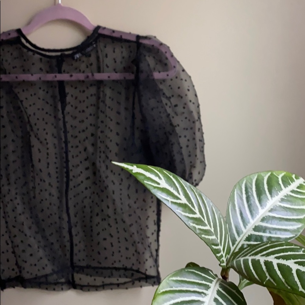Zara // winter 2020 top